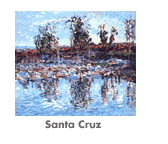 Santa Cruz